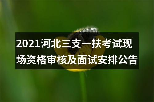 2021河北三支一扶考试现场资格审核及面试安排公告 图片