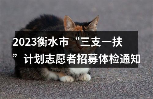 2023衡水市“三支一扶”计划志愿者招募体检通知 图片