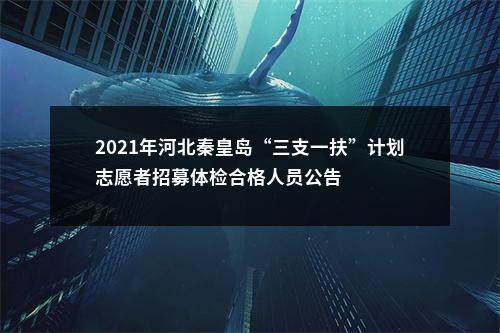 2021年河北秦皇岛“三支一扶”计划志愿者招募体检合格人员公告 图片
