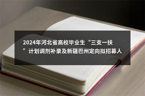 2024年河北省高校毕业生“三支一扶”计划调剂补录及新疆巴州定向拟招募人员公示名单 图片