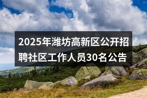 2025年潍坊高新区公开招聘社区工作人员30名公告 图片