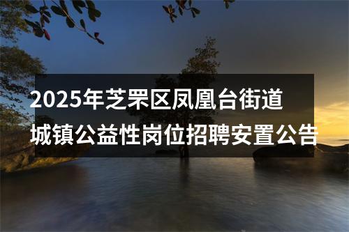 2025年芝罘区凤凰台街道城镇公益性岗位招聘安置公告 图片
