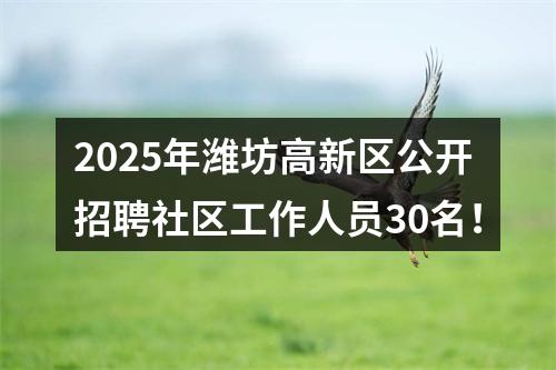 2025年潍坊高新区公开招聘社区工作人员30名！ 图片