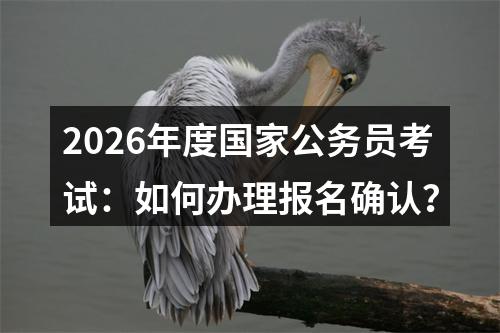 2026年度国家公务员考试：如何办理报名确认？ 图片