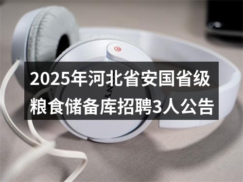 2025年河北省安国省级粮食储备库招聘3人公告 图片