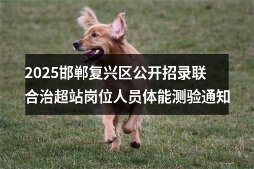 2025邯郸复兴区公开招录联合治超站岗位人员体能测验通知 图片