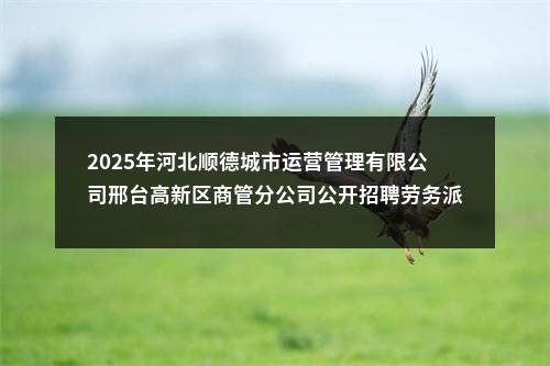 2025年河北顺德城市运营管理有限公司邢台高新区商管分公司公开招聘劳务派遣人员2名公告 图片