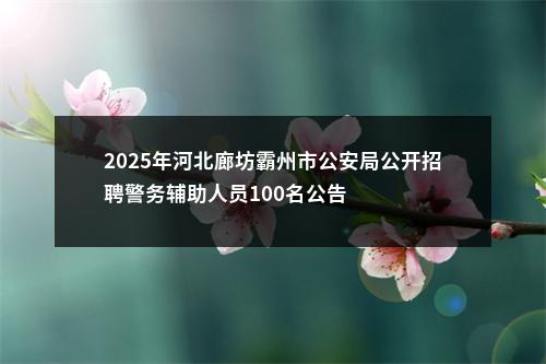 2025年河北廊坊霸州市公安局公开招聘警务辅助人员100名公告 图片