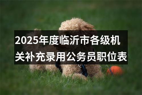 2025年度临沂市各级机关补充录用公务员职位表 图片