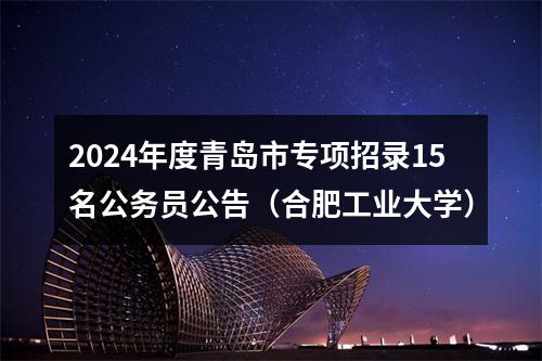2024年度青岛市专项招录15名公务员公告（合肥工业大学） 图片