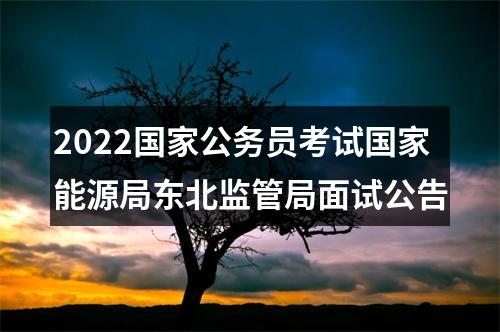 2022国家公务员考试国家能源局东北监管局面试公告 图片