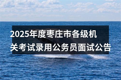 2025年度枣庄市各级机关考试录用公务员面试公告 图片