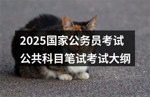 2025国家公务员考试公共科目笔试考试大纲 图片