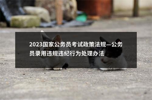 2023国家公务员考试政策法规—公务员录用违规违纪行为处理办法 图片