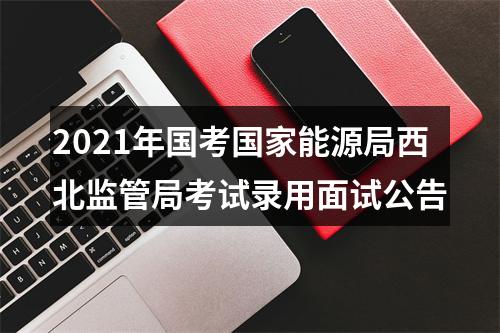2021年国考国家能源局西北监管局考试录用面试公告 图片