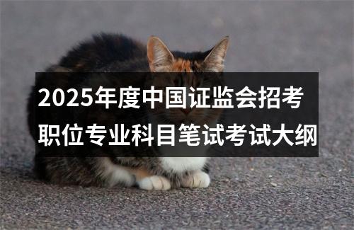 2025年度中国证监会招考职位专业科目笔试考试大纲 图片