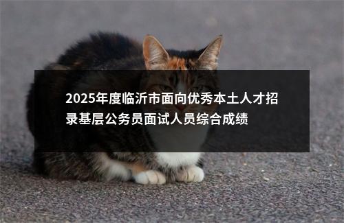 2025年度临沂市面向优秀本土人才招录基层公务员面试人员综合成绩 图片