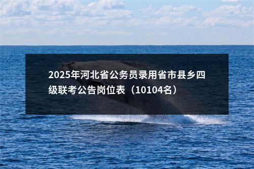 2025年河北省公务员录用省市县乡四级联考公告岗位表（10104名） 图片