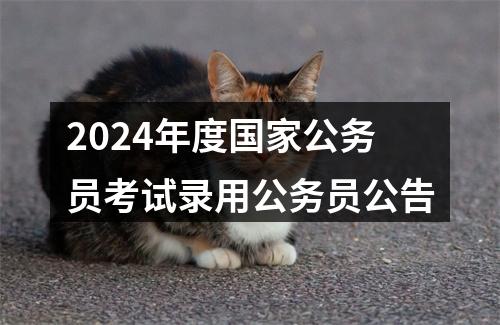 2024年度国家公务员考试录用公务员公告 图片