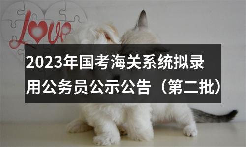 2023年国考海关系统拟录用公务员公示公告（第二批） 图片