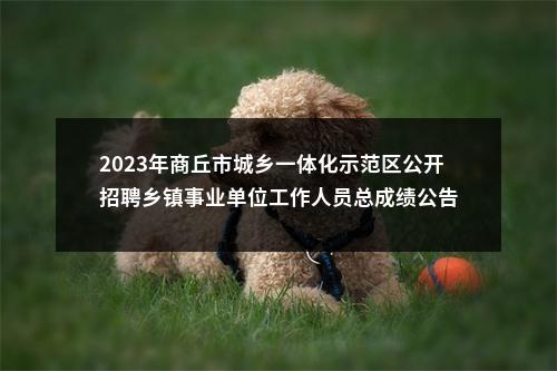 2023年商丘市城乡一体化示范区公开招聘乡镇事业单位工作人员总成绩公告 图片