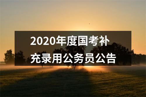 2020年度国考补充录用公务员公告 图片