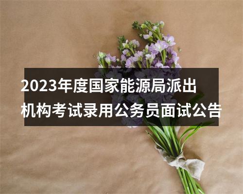 2023年度国家能源局派出机构考试录用公务员面试公告 图片