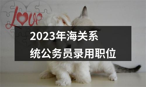 2023年海关系统公务员录用职位 图片