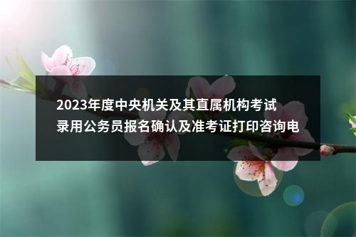 2023年度中央机关及其直属机构考试录用公务员报名确认及准考证打印咨询电话 图片