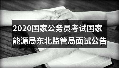 2020国家公务员考试国家能源局东北监管局面试公告 图片