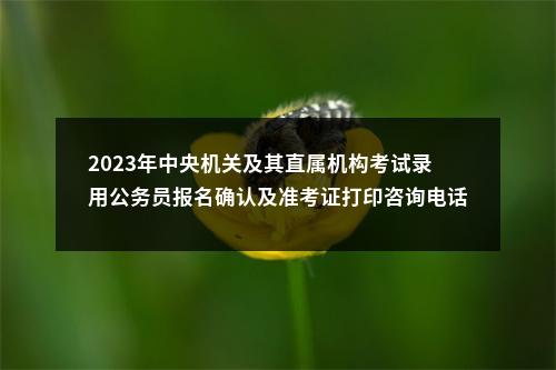 2023年中央机关及其直属机构考试录用公务员报名确认及准考证打印咨询电话 图片