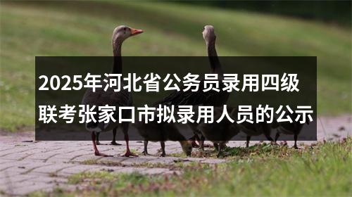 2025年河北省公务员录用四级联考张家口市拟录用人员的公示 图片