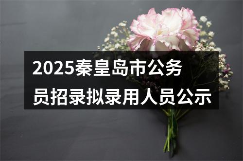 2025秦皇岛市公务员招录拟录用人员公示 图片