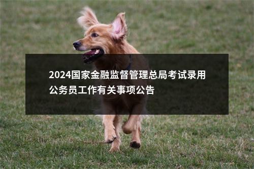 2024国家金融监督管理总局考试录用公务员工作有关事项公告                进入阅读模式 图片