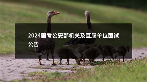 2024国考公安部机关及直属单位面试公告                进入阅读模式 图片