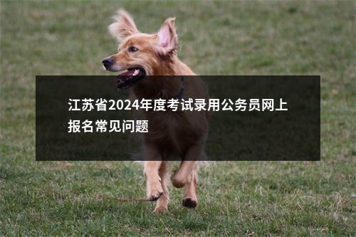 江苏省2024年度考试录用公务员网上报名常见问题                进入阅读模式 图片