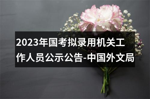 2023年国考拟录用机关工作人员公示公告-中国外文局 图片
