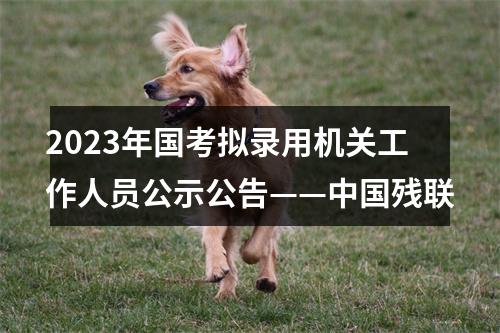 2023年国考拟录用机关工作人员公示公告——中国残联 图片