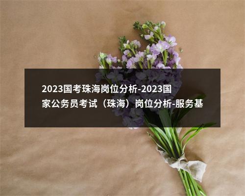 2023国考珠海岗位分析-2023国家公务员考试（珠海）岗位分析-服务基层项目工作经历 图片