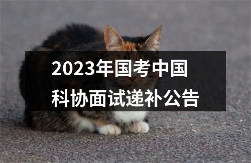 2023年国考中国科协面试递补公告 图片