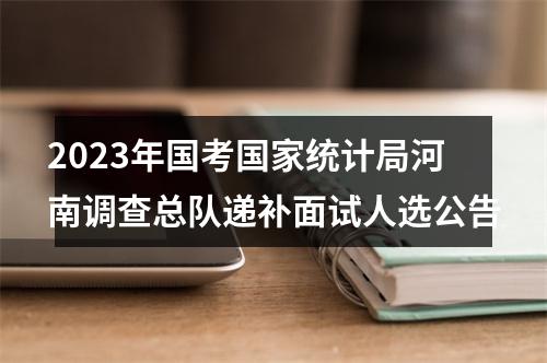 2023年国考国家统计局河南调查总队递补面试人选公告 图片