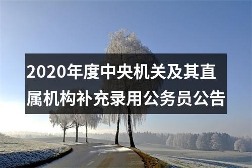 2020年度中央机关及其直属机构补充录用公务员公告 图片