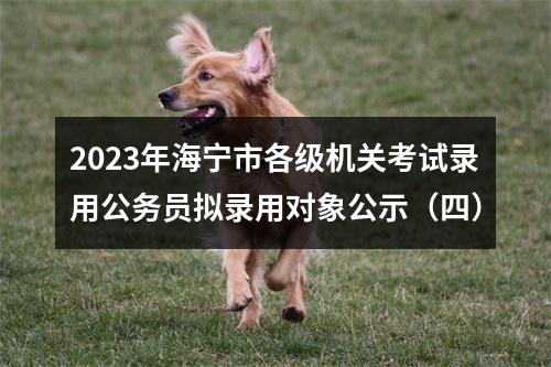 2023年海宁市各级机关考试录用公务员拟录用对象公示（四） 图片