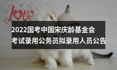 2022国考中国宋庆龄基金会考试录用公务员拟录用人员公告 图片