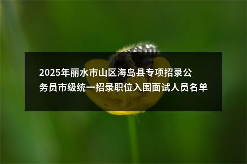 2025年丽水市山区海岛县专项招录公务员市级统一招录职位入围面试人员名单公布 图片
