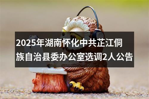 2025年湖南怀化中共芷江侗族自治县委办公室选调2人公告 图片