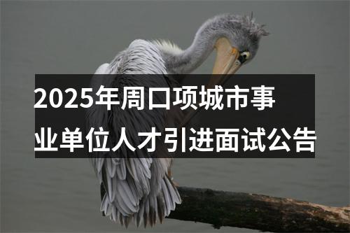 2025年周口项城市事业单位人才引进面试公告 图片