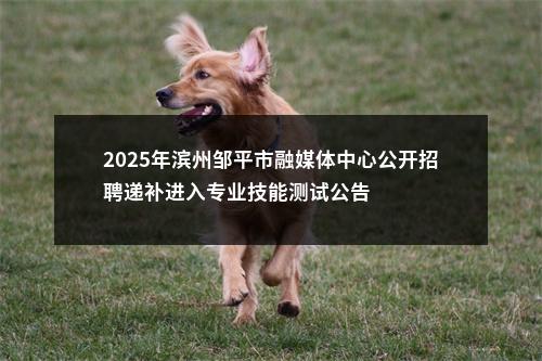 2025年滨州邹平市融媒体中心公开招聘递补进入专业技能测试公告 图片