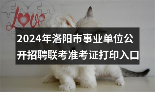 2024年洛阳市事业单位公开招聘联考准考证打印入口 图片