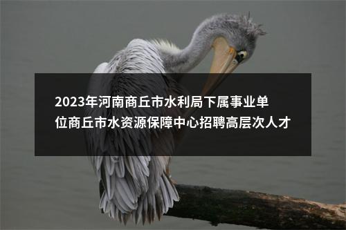 2023年河南商丘市水利局下属事业单位商丘市水资源保障中心招聘高层次人才6名公告 图片